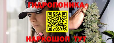 круглые Вязьма