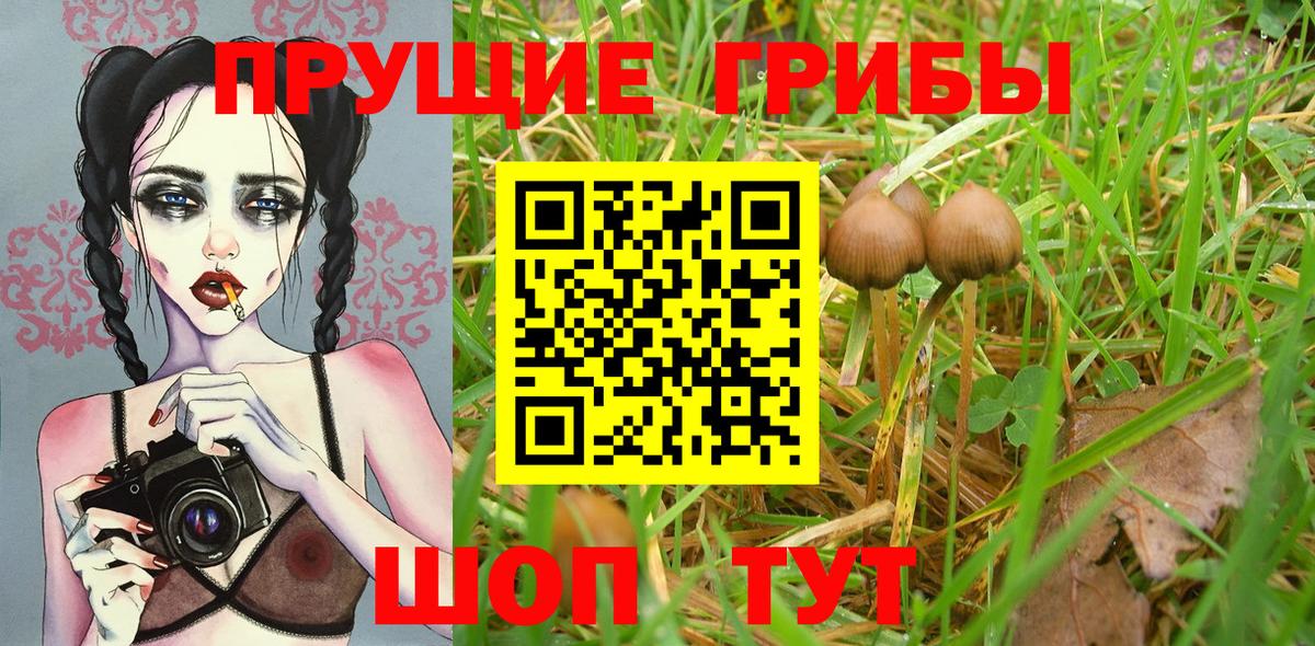 Псилоцибиновые грибы Magic Shrooms Белая Калитва